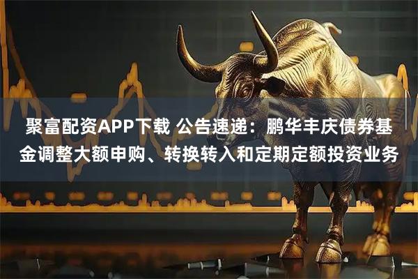 聚富配资APP下载 公告速递：鹏华丰庆债券基金调整大额申购、转换转入和定期定额投资业务