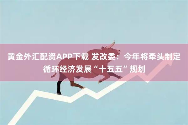 黄金外汇配资APP下载 发改委：今年将牵头制定循环经济发展“十五五”规划